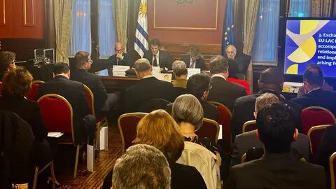 Reunión Extraordinaria del Consejo Directivo de la Fundación EU-LAC