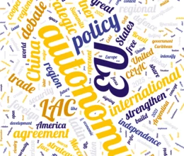 Framework Agreement for Cooperation - Blog Susanne Gratius 1080 X 1350 Px .webp